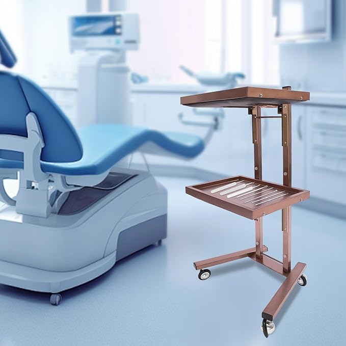 Hairstylist Trolley Cart with Wheels, 2 Tier Salon Tray Cart with Storage Platform, Stainless Steel Salon Service Station Hair Color Tray, Mobile Hairdressing Trolley for Spa Home Use (Rose-Gold)