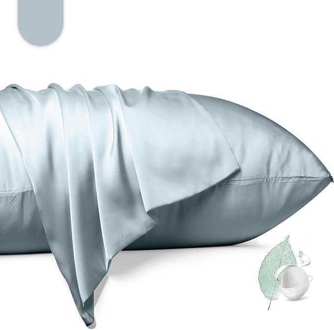 100% Mulberry Silk Pillowcase 2 Pack,Queen Size Silk Pillow Cases for Hair and Skin,Silky Smooth Bed Pillow Cover with Hidden Zipper,Natural Silk Pillow Case Set of 2 (Ash Blue, Queen 20X30)