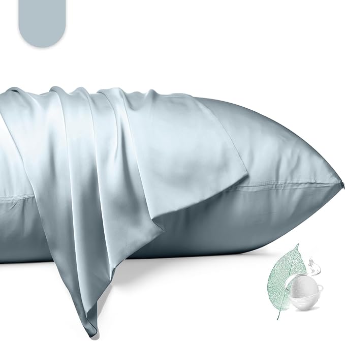 100% Mulberry Silk Pillowcase 2 Pack,King Size Silk Pillow Cases for Hair and Skin,Silky Smooth Bed Pillow Cover with Hidden Zipper,Natural Silk Pillow Case Set of 2 (Ash Blue, King 20X36)