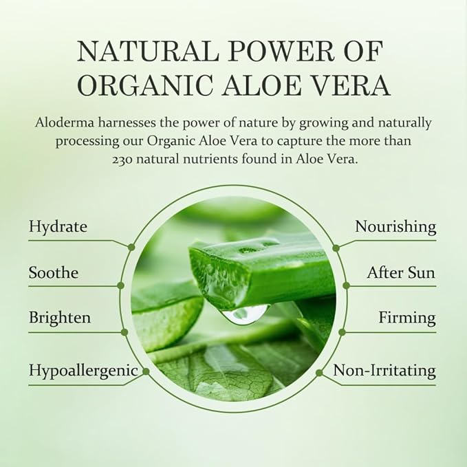 Aloderma Organic Aloe Vera Gel for Skin + Tea Tree Oil, Made within 12 Hours of Harvest, Soothing Pure Aloe Vera Gel for Face, Works Great for Oily Skin, Dry Scalp, Aftershave, Natural Aloe - 10.6 Oz