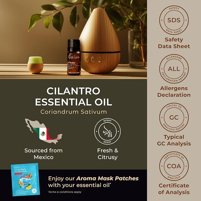 Gya Labs Cilantro Essential Oil - 0.34 Fl Oz - for Hair, Skin, Diffuser, Aromatherapy & DIY Candle Making Scent
