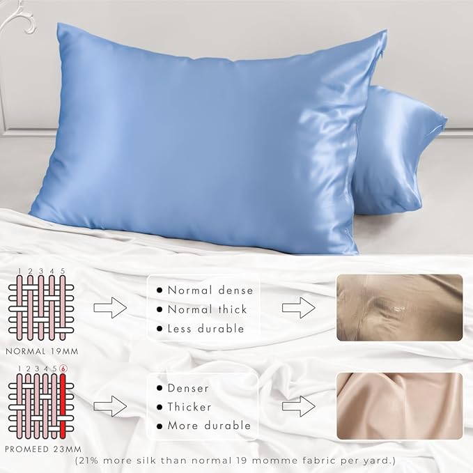 PROMEED 100% Mulberry Silk Pillowcase Set of 2, Both Sides Natural Silk Pillow Case 2 Pack Cooling Pillow Cases for Hot Sleepers, Hidden Zipper Closure (Queen 20"x30", Light Blue)