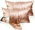 Set of 2 100% Silk Pillow Cases Queen - 6A Luxury Mulberry Silk Pillowcase for Hair and Skin - Anti-Wrinkle, Cooling & Smooth, Hidden Zipper - Pillowcases for Sleeping Women Girl, Boy, Beige