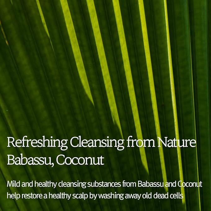 Bouquet Garni NARD Hair Shampoo Lavender Musk - Scalp Vitality, and Soft Cleansing (Containing Argan Olive Jojoba Macadamia Sunflower Oil, Protein, and Amino Acids) - 16.9 oz