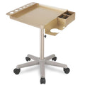 Hair Salon Carts, Champagne Gold Salon Tray for Hair Stylist, Multi-Function Salon Tray, Salon Station(with Wheels), Large Size and Robust,Corrosion-Resistant Adjustable Color Tray.