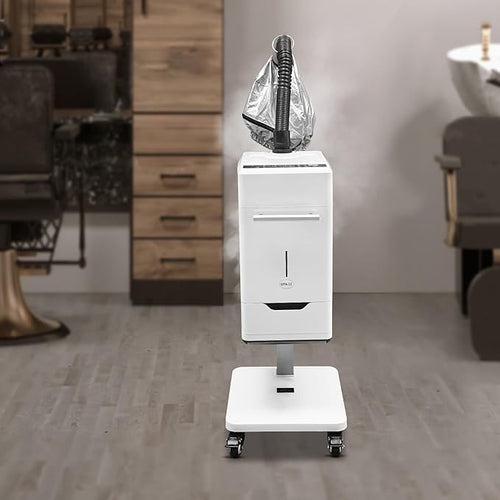500W Multifunctional Anion Hair Dyeing Machine,110V Nano Hair Steamer/Hair Oil Machine Stand Up Base Equipment Vertical Nano Steamer Salon Spa (500W)