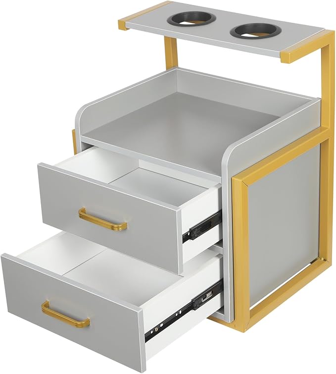 Suspended Salon Station for Hair Stylist, Wall Mounted Styling Salon Station Storage Cabinet w/2*Drawers &Hair Dryer Stand,Floating Nightstand Stylist Storage Cabinet for Home (Glod+Gray)
