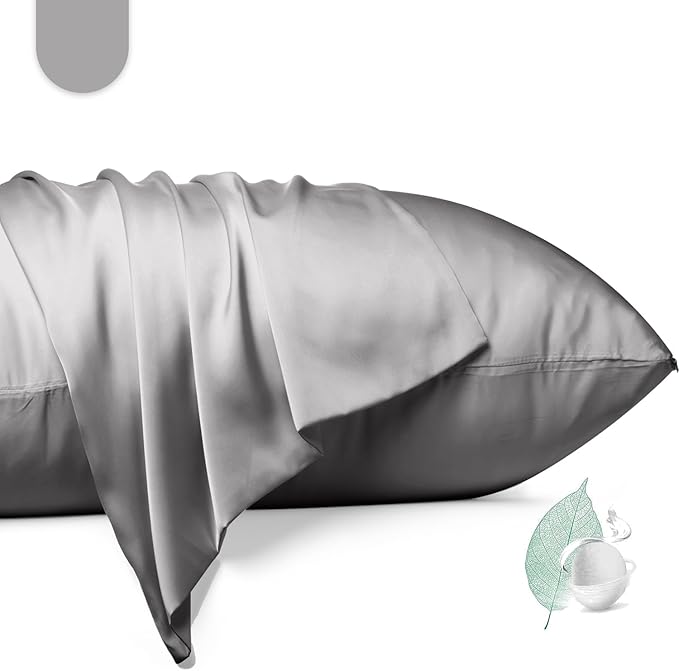 100% Mulberry Silk Pillowcase 2 Pack,Standard Size Silk Pillow Cases for Hair and Skin,Silky Smooth Bed Pillow Cover with Hidden Zipper,Natural Silk Pillow Case Set of 2 (Gray, Standard 20X26)