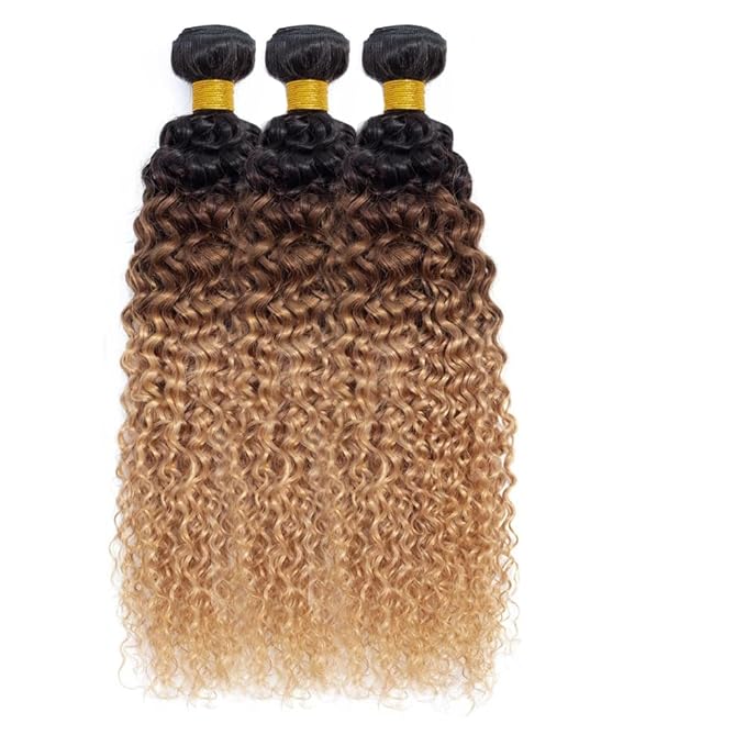 Ombre Kinky Curly Bundles Human Hair 4/27 Curly Bundle Niegmeag Virgin Soft and Silky Hair 3 Bundles 16 18 20 Inch Double Weft Blonde Curly Bundle Hair Weave