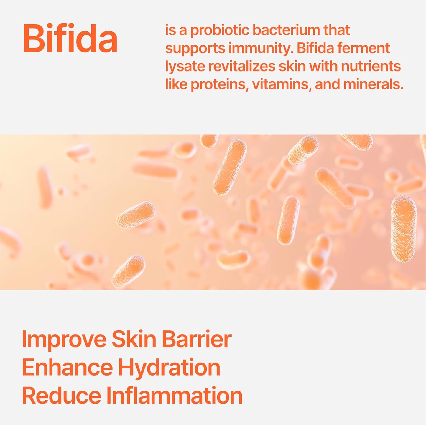 Bifida Barrier Ampoule, CUSKIN, Mild and Moisturizing Korean Skin Care Face Serum Ampoule with Ceramide NP and Hyaluronic Acid for Hydration and Skin Elasticity, 50ml (1.69 Fl. Oz.)