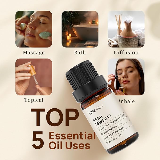 VINEVIDA Sweet Basil Essential Oil 10 mL - Undiluted Candle Oil Scent for DIY Candlemaking and Soap Making - Safe for Skin