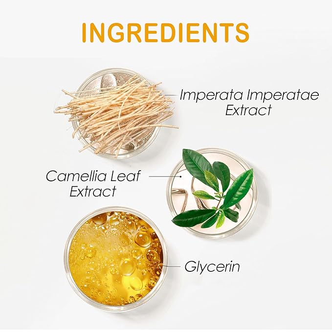 Mineral Sunscreen Setting Powder, Natural Translucent Mineral Brush Powder, SPF 50 PA++, Matte Makeup Setting Powder Long Lasting Oil Control Lightweight Breathable Face Powder for All Skin