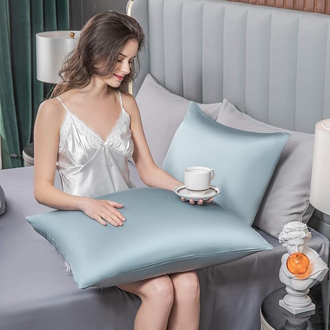 2 Pcs Mulberry Silk Pillowcase for Hair and Skin,Cooling Silk Pillow Case with Hidden Zipper,Allergen Proof Dual Sides Soft Breathable Smooth Silk Pillow Cover for Women(Queen-2PCS,Aqua Blue)
