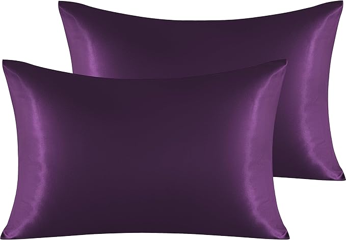 NTBAY 2 Pack Satin Queen Pillowcases for Hair and Skin, Luxurious and Silky Pillow Cases with Envelope Closure, 20x30 Inches, Eggplant Purple