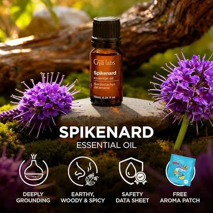 Gya Labs Spikenard Essential Oil - 0.34 Fl Oz - for Hair, Skin, Diffuser, Aromatherapy & DIY Candle Making Scent