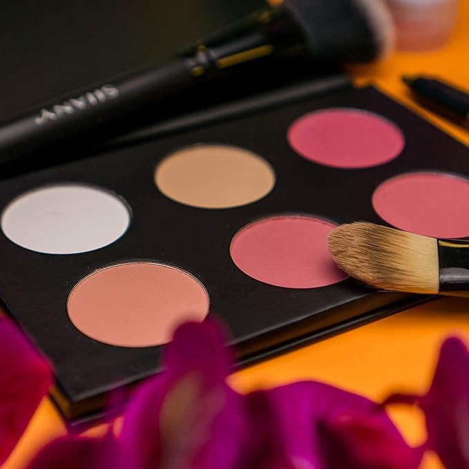 SHANY Cosmetics Shimmer & Matte Blush/Highlighter Face Palette - Layer 4 - Refill For The 6 Layer Mini Masterpiece Collection Makeup Set, Highlighter