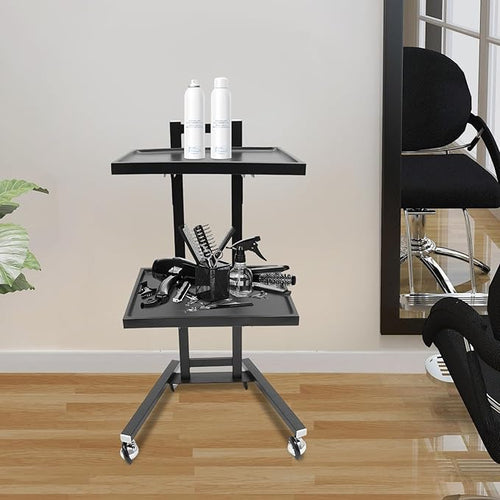 2 Tier Foldable Tray Trolley, Stainless Steel Salon Storage Metal Rolling Cart Mobile Hairdressing Tool Organizer with Wheels for Hair Salon, Studios, Spa Salons (Black)