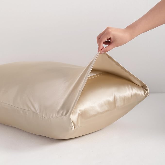 NTBAY 2 Pack Satin Queen Pillowcases for Hair and Skin, Luxurious and Silky Pillow Cases with Envelope Closure, 20x30 Inches, Taupe