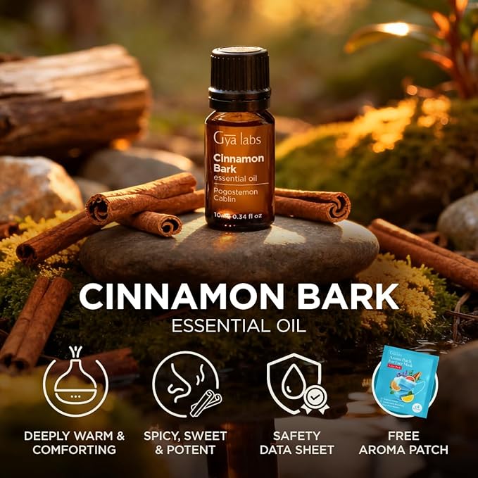 Gya Labs Cinnamon Bark Essential Oil - 0.34 Fl Oz - for Hair, Skin, Diffuser, Aromatherapy & DIY Candle Making Scent