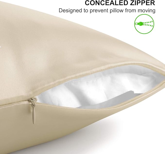 ALASKA BEAR Silk Pillowcase for Hair and Skin, Set of 2 Pure Genuine 22 Momme Mulberry Silk Pillow Cases King Size for Bliss Sleep Better Than Poly Satin, Zipper Closure(2pc, Beige)