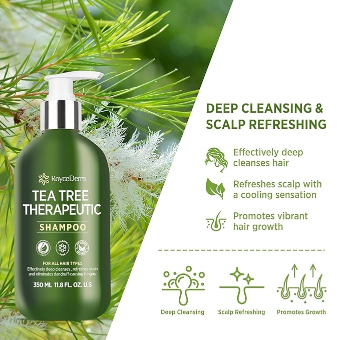 Roycederm Tea Tree Antifungal Shampoo: Folliculitis Shampoo for Dry Scalp, Dandruff, and Itchy Scalp - Medicated Clarifying shampoo with Tea Tree Oil, Paraben & Sulfate Free