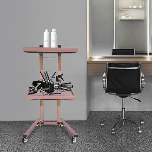 2 Tier Foldable Tray Trolley, Stainless Steel Salon Storage Metal Rolling Cart Mobile Hairdressing Tool Organizer with Wheels for Hair Salon, Studios, Spa Salons (Rose Gold)