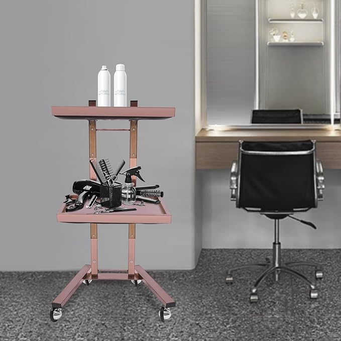 Hairstylist Trolley Cart with Wheels, 2 Tier Salon Tray Cart with Storage Platform, Stainless Steel Salon Service Station Hair Color Tray, Mobile Hairdressing Trolley for Spa Home Use (Rose-Gold)