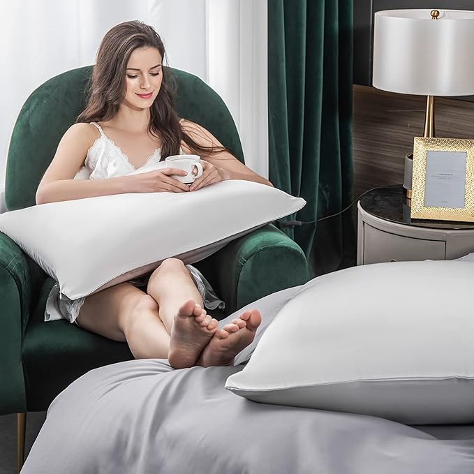 Mulberry Silk Pillowcase for Hair and Skin,Queen Size Cooling Silk Pillow Case with Hidden Zipper,Allergen Proof Dual Sides Soft Breathable Smooth Silk Pillow Cover for Women.(Queen,Light Gray)