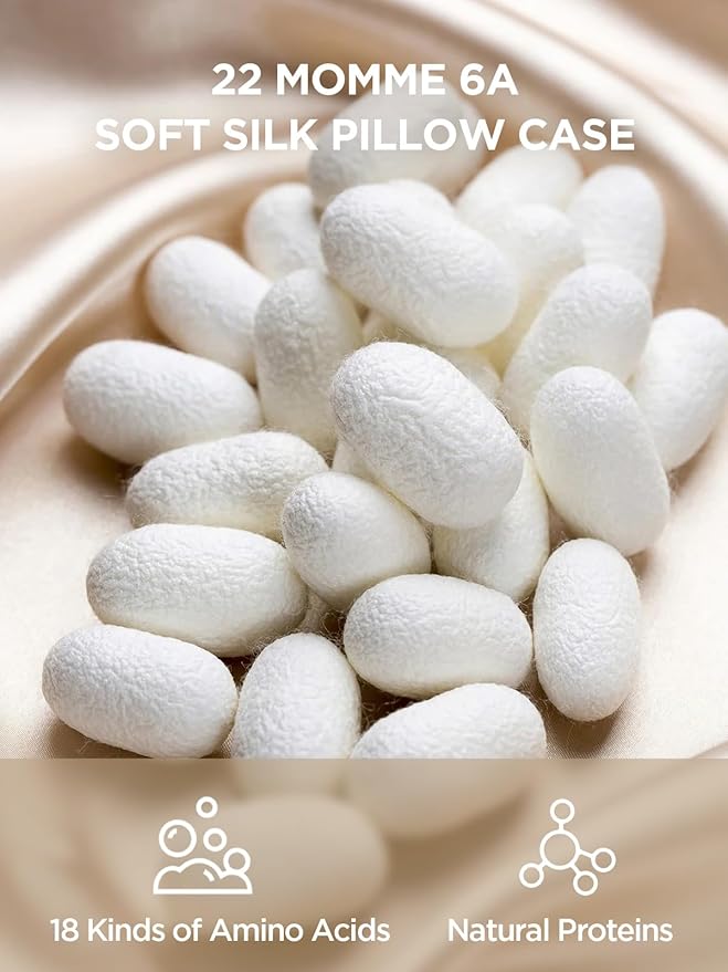 Mulberry Silk Pillowcase for Hair and Skin, SGMSILK 22 Momme Natural Silk Pillow Cases with Zipper, 6A Soft and Smooth Single Sided Pure Silk Pillow Cover (Champagne, King 20"x36")