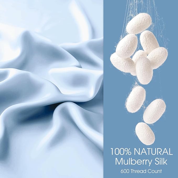 100% Silk Pillow Cases 2 Pack Queen Size Mulberry Silk Pillowcase for Hair and Skin Set of 2 Highest Grade 6A Silk Soft Breathable Cooling with Hidden Zipper, Sky Blue