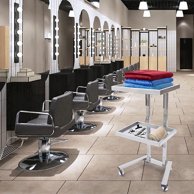 2 Tier Foldable Tray Trolley, Stainless Steel Salon Storage Metal Rolling Cart Mobile Hairdressing Tool Organizer with Wheels for Hair Salon, Studios, Spa Salons (Silver)