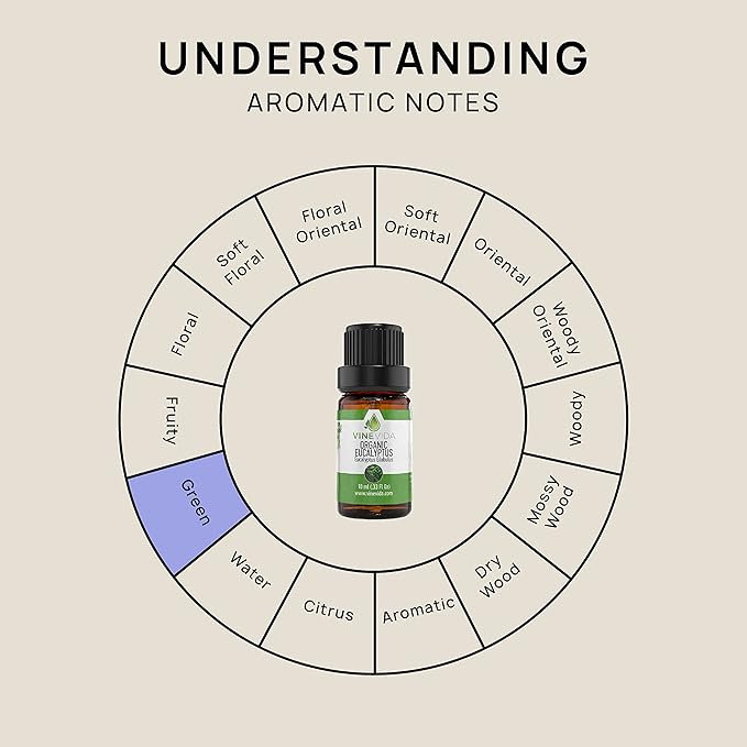 VINEVIDA Organic Eucalyptus Essential Oil 10 mL - Undiluted, Pure, Vegan, Free of Harsh Chemicals, Reusable Glass Bottle with Euro Dropper