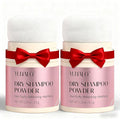 YLNALO Dry Shampoo Powder 2 Packs, Mattifying Root Fuller Looking Refreshing Hair,Non-aerosol, No White Cast, Travel Size Dry Shampoo Suitable for Women and Men,0.58Oz