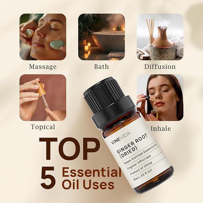 VINEVIDA Dried Ginger Root Essential Oil 10 mL - Undiluted Candle Scent DIY Scents for Candlemaking Soap Making Safe Skin,0.33 Fl Oz 1.33 Ounces