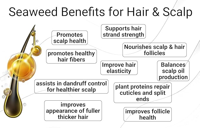 Deep Conditioning Moisture Vitamin Hair Mask with Organic Coconut Oil - Restores Dry Damaged - Repairs damage - reduces frizz - improves scalp circulation - Silicone Free