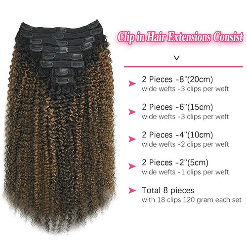 3c 4a Curly Clip in Hair Extensions T1BP1B/30 Omber Kinky Curly Clip ins For Women Brazilian Virgin Clip on Hair (22inch,T1BP1B/30)