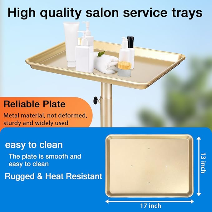 Salon Tray on Wheels, Champagne Gold Salon Service Tray Cart with Adjustable Height,Ideal Use As Salon Tattoo Tray&Medical Tray,No-Rusting