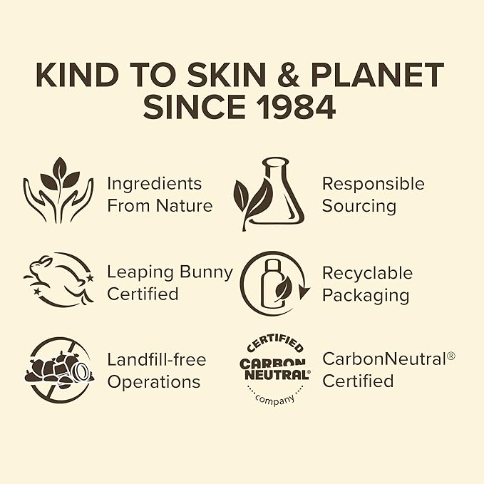 Burt’s Bees Holiday Gift, 4 Lip Balm Stocking Stuffer Products, Beeswax Bounty Assorted Set - Original Beeswax, Vanilla Bean, Cucumber Mint & Coconut Pear (Old Verison)