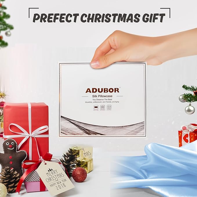 Adubor Mulberry Silk Pillowcase for Hair and Skin with Hidden Zipper, Both Side 23 Momme Silk, 900 Thread Count (20x30inch, Queen Size, Sky Blue, 1pc)