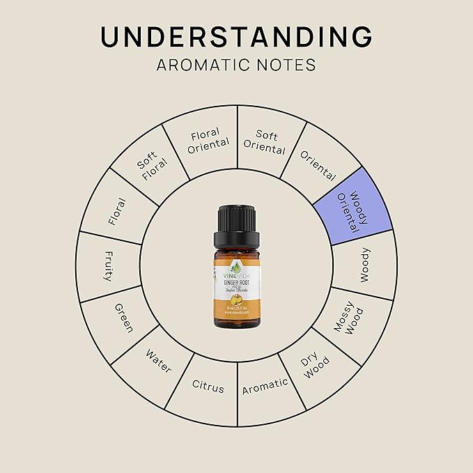 VINEVIDA Fresh Ginger Root Essential Oil 10 mL - Undiluted Candle Scent DIY Scents for Candlemaking Soap Making Safe Skin,0.33 Fl Oz 1.33 Ounces