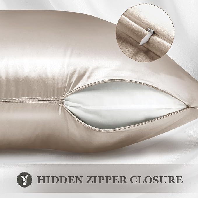 Adubor Silk Pillowcase for Hair and Skin with Hidden Zipper, Both Sides 23 Momme Silk Pillow Case, Queen Size 20×30 inches, Taupe, 2PCS