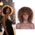 Afro Wig 15 Inch Black Women Afro Wigs African Curly Wigs Elastic Fluffy Wigs Synthetic Hair Suitable for Cosplay Daily and Party