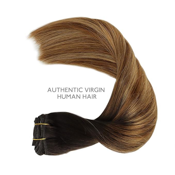 WENNALIFE Clip in Hair Extensions Real Human Hair, 20 Inch 120g 7pcs Dark Brown to Chestnut Brown and Dirty Blonde Highlighted Clip In Human Hair Remy Clip in Hair Extensions Double Weft