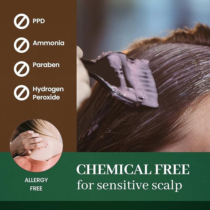 Dongsung Herb Speedy Color Cream Soft Black – Korean Herbal Vegan Hair Dye, PPD-Free, Ammonia-Free, Hypoallergenic – 100% Gray Coverage Odorless Dermatologically Tested Quick 20-Minute Application