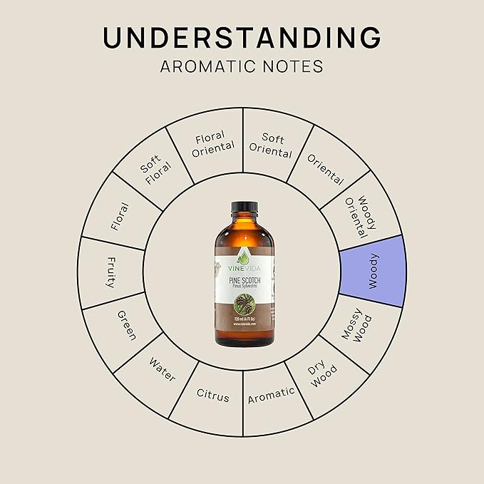 VINEVIDA Pine Scotch Essential Oil 4 oz - Undiluted Oil - DIY Candle Scents - Bulk Oil for Soap Making - Safe for Skin