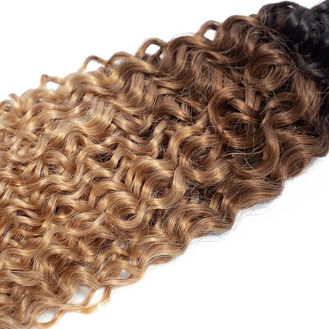 27 Curly Human Hair Bundles Ombre Brown Bundles 24 26 28 Inch Niegmeag Hair 3 Tone Brown and Honey Blonde Bundle Peruvian Grade 8A Virgin Remy Hair Extensions