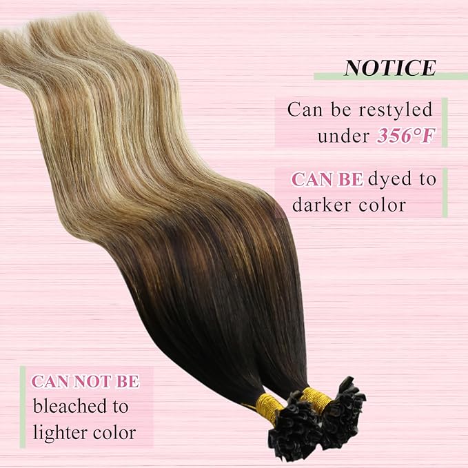 YoungSee U Tip Hair Extensions Brown Balayage U Tip Hair Extensions Human Hair Keratin Hair Extension Real Human Hair Ombre Brown to Blonde Utip Hair Extension Human Hair 22In 1g/s 50g