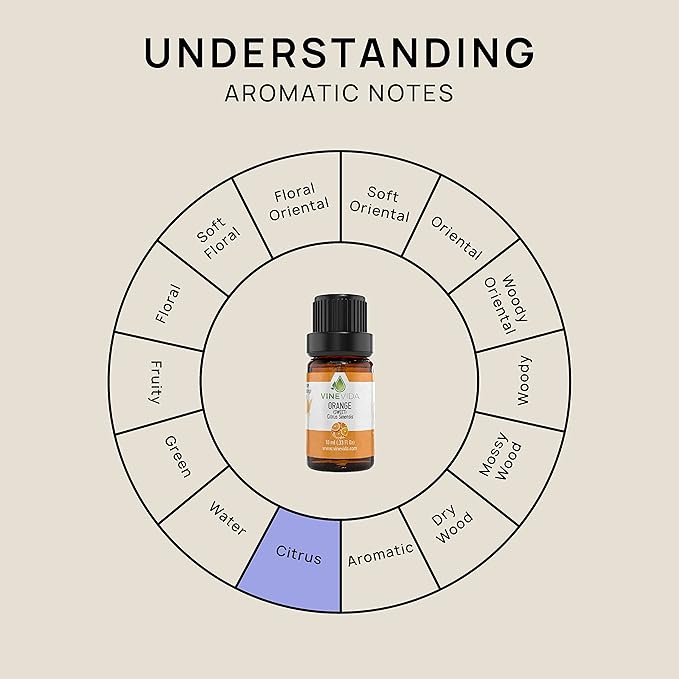 VINEVIDA Orange Sweet Essential Oil - Undiluted Orange Oil - DIY Candle Scents for Candlemaking - 10 mL Safe for Skin