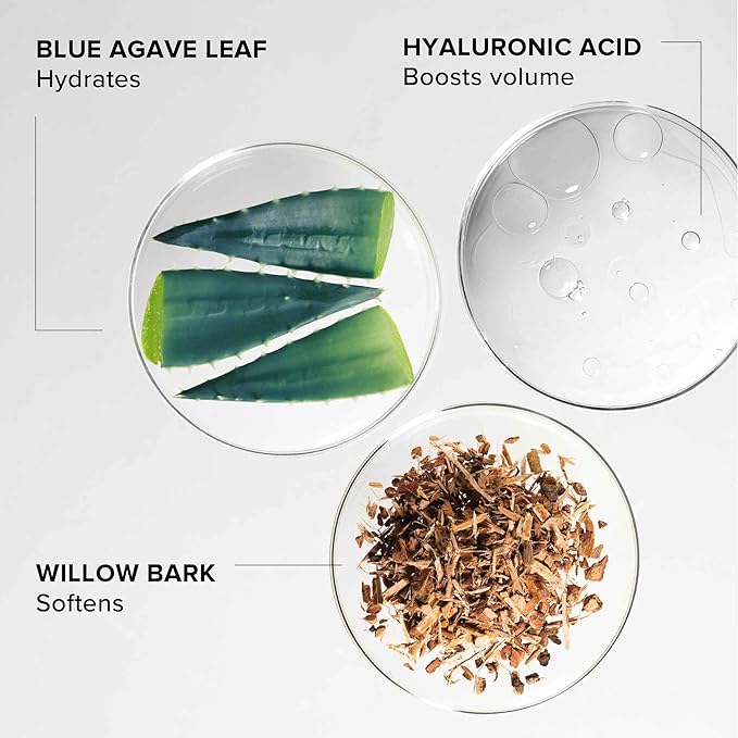 Alpyn Willow & Sweet Agave Plumping Lip Mask | Hydrating Daily Lip Mask Treatment For Fuller, Softer, Smoother & More Supple Lips | 0.35 oz / 10 g