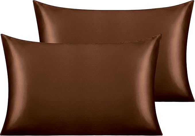 NTBAY 2 Pack Satin Queen Pillowcases for Hair and Skin, Luxurious and Silky Pillow Cases with Envelope Closure, 20x30 Inches, Brown